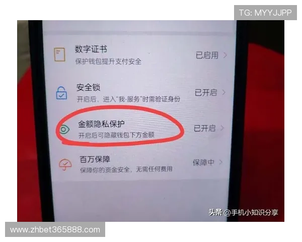 365bet网站app安全支付方式介绍，保障每一笔交易的顺利与安全