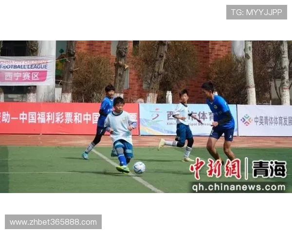 365电竞足球如何打造专业化的电竞足球生态体系促进发展 365电竞足球如何打造专业化的电竞足球生态体系促进发展