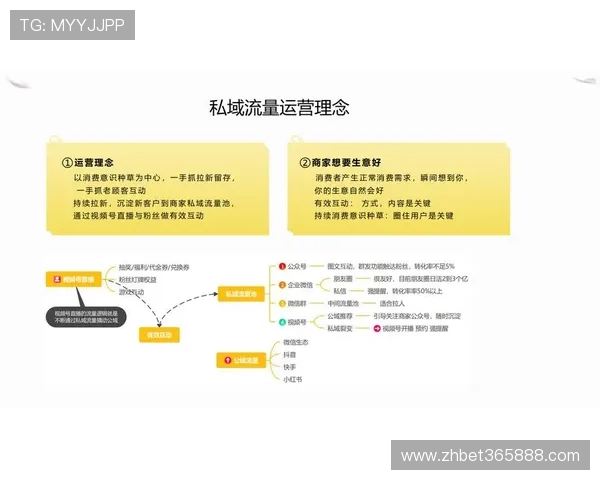 全面解析inbet官网平台的最新功能与用户体验优化措施