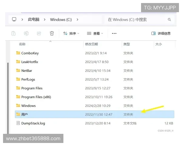 365速发登录页面打不开，快速排查与解决方法全攻略