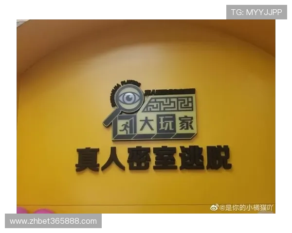 B体育真人手机版最新版本功能介绍与操作指南详解 B体育真人手机版最新版本功能介绍与操作指南详解
