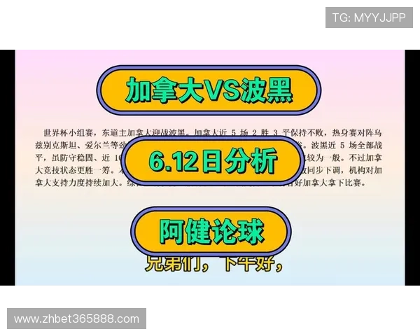 加拿大对阵波黑历史交锋纪录全面分析助力世界杯赛前预测